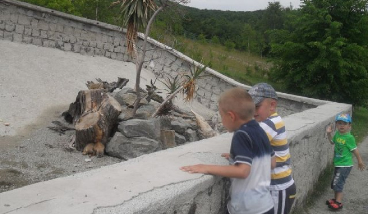 47. fotografia fotogalérie Školstvo / Materská škola - foto