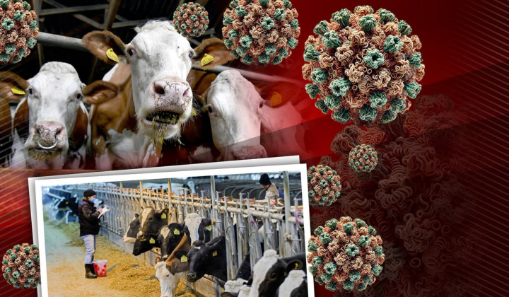 1. fotografia fotogalérie Mimoriadne núdzové opatrenia v oblasti veterinárnej starostlivosti - foto