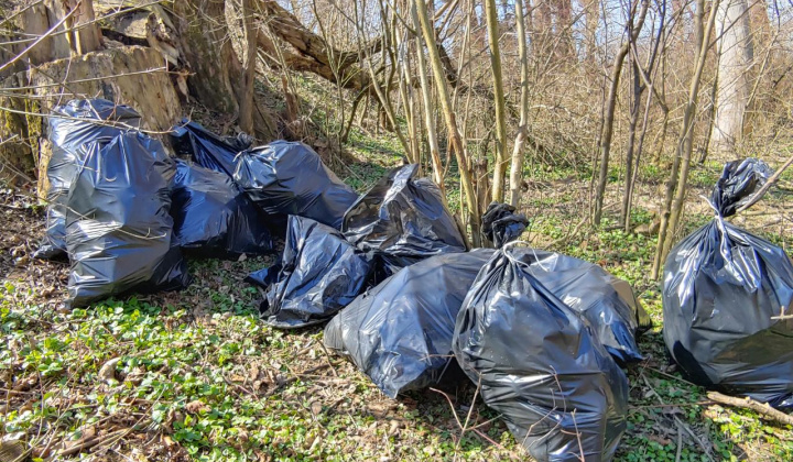 5. fotografia fotogalérie Čistenie brehov Oľky