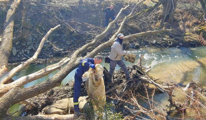 7. fotografia fotogalérie Čistenie brehov Oľky