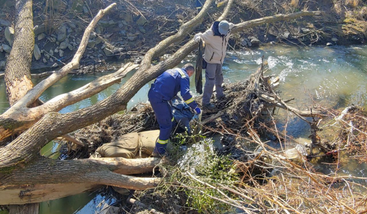 10. fotografia fotogalérie Čistenie brehov Oľky