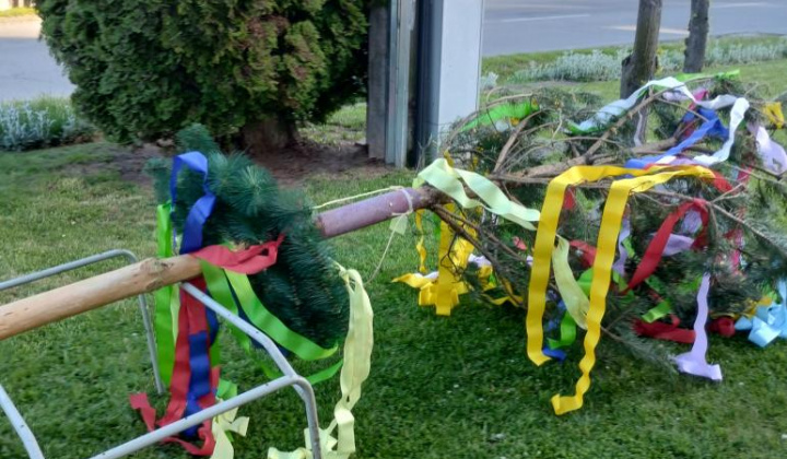 11. fotografia fotogalérie Stavanie Mája 2024