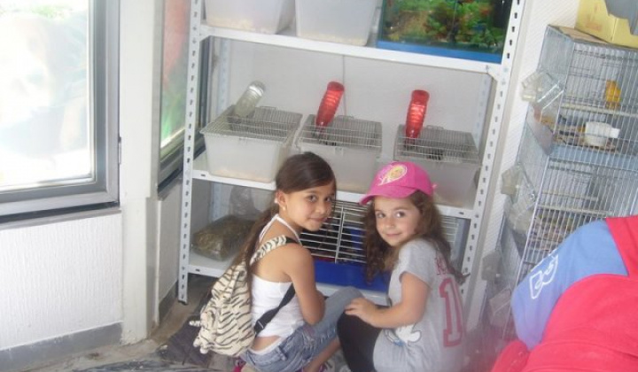 24. fotografia fotogalérie Materská škola Žalobín